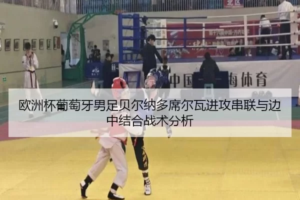 欧洲杯葡萄牙男足贝尔纳多席尔瓦进攻串联与边中结合战术分析